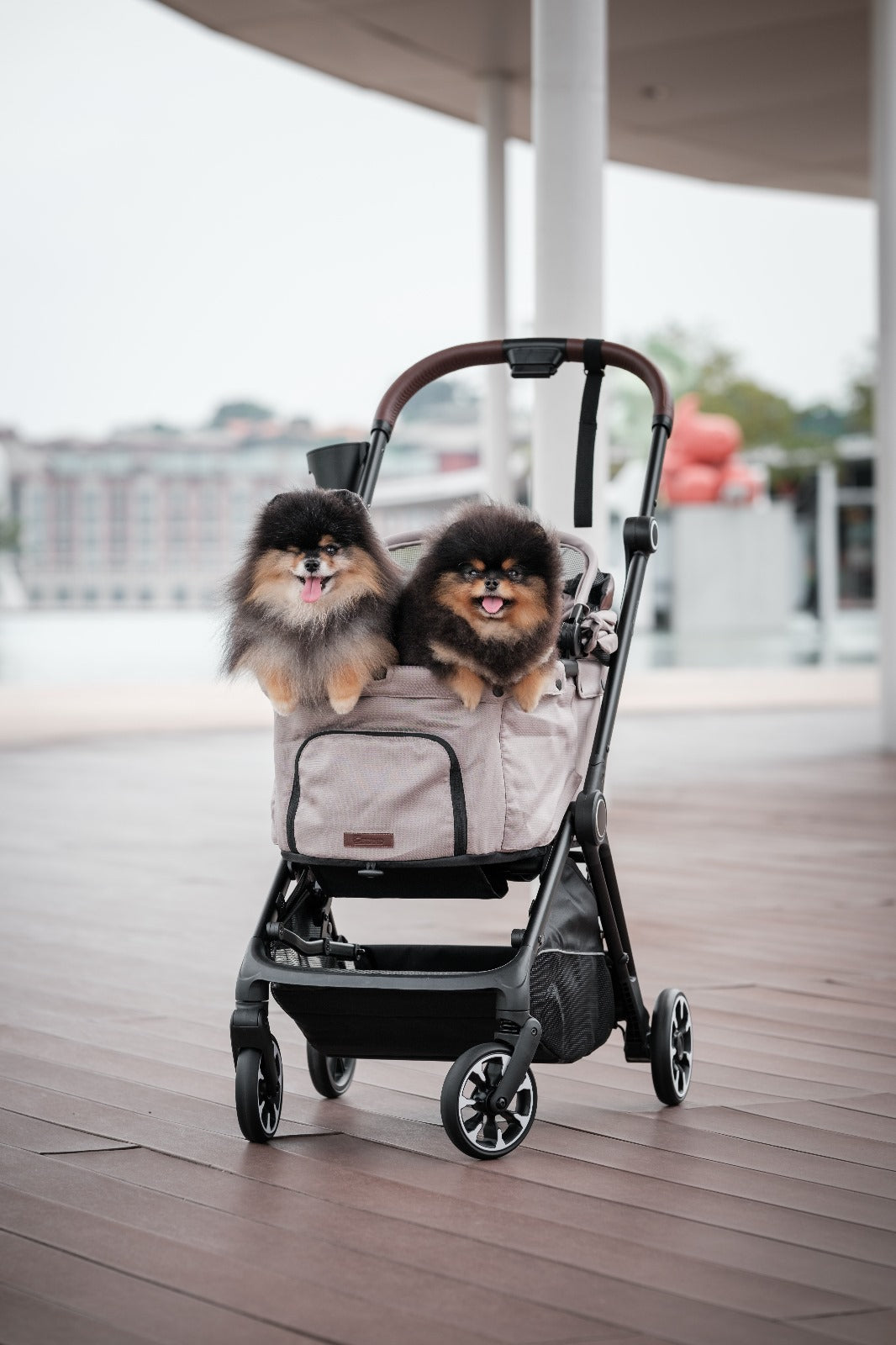 Bernd Pet Strollers – Borky Dorks Pte Ltd