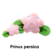 Raisingwell - New Year