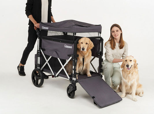 *PRE-ORDER* Pet Stroller "Bloom"