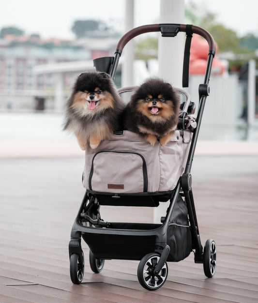 *PRE-ORDER* Pet Stroller "Autofold Proud"