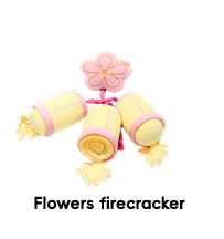 Raisingwell - New Year